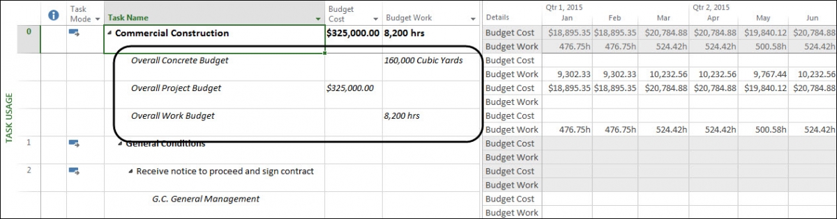 Budget values entered